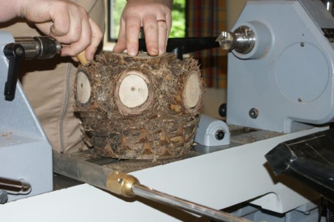 Greg's 1st item. A bowl from the top of a monkey puzzle tree